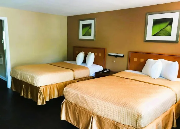 Oyo Downtown Hotel Tallahassee