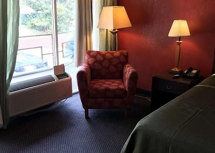 Hotel Oyo Downtown 2*